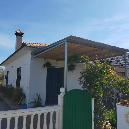 Alojamiento Rural La Perdiz La Puebla de los Infantes Zewnętrze zdjęcie