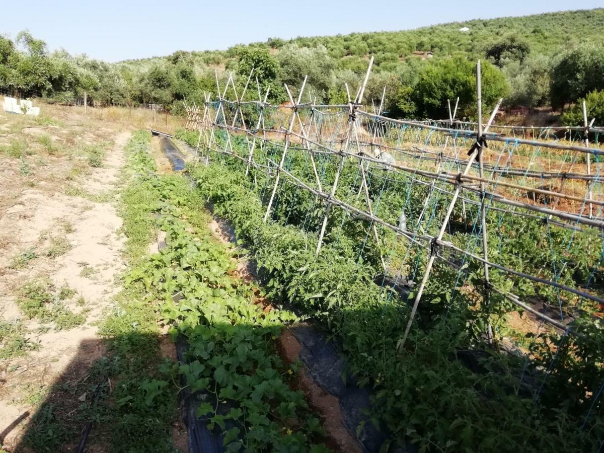 Alojamiento Rural La Perdiz La Puebla de los Infantes Zewnętrze zdjęcie