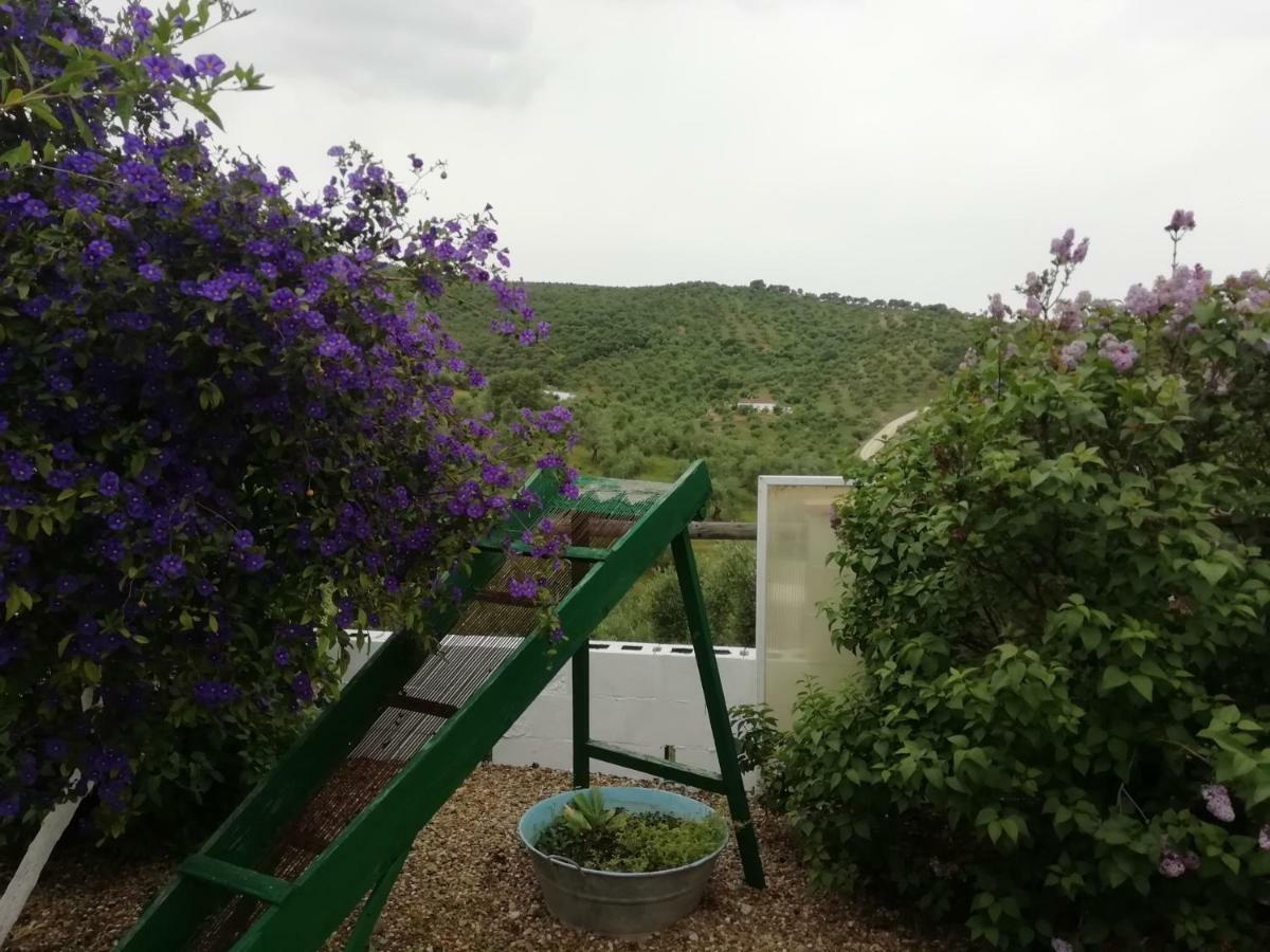 Alojamiento Rural La Perdiz La Puebla de los Infantes Zewnętrze zdjęcie